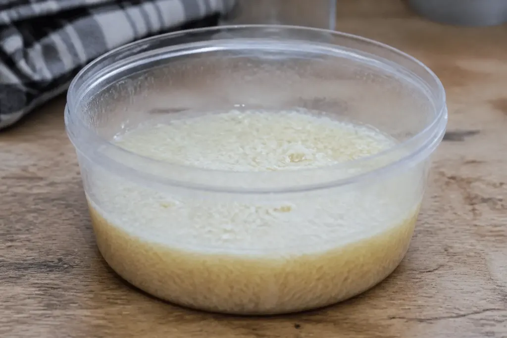 Savon de Marseille râpé dans un récipient transparent avec eau