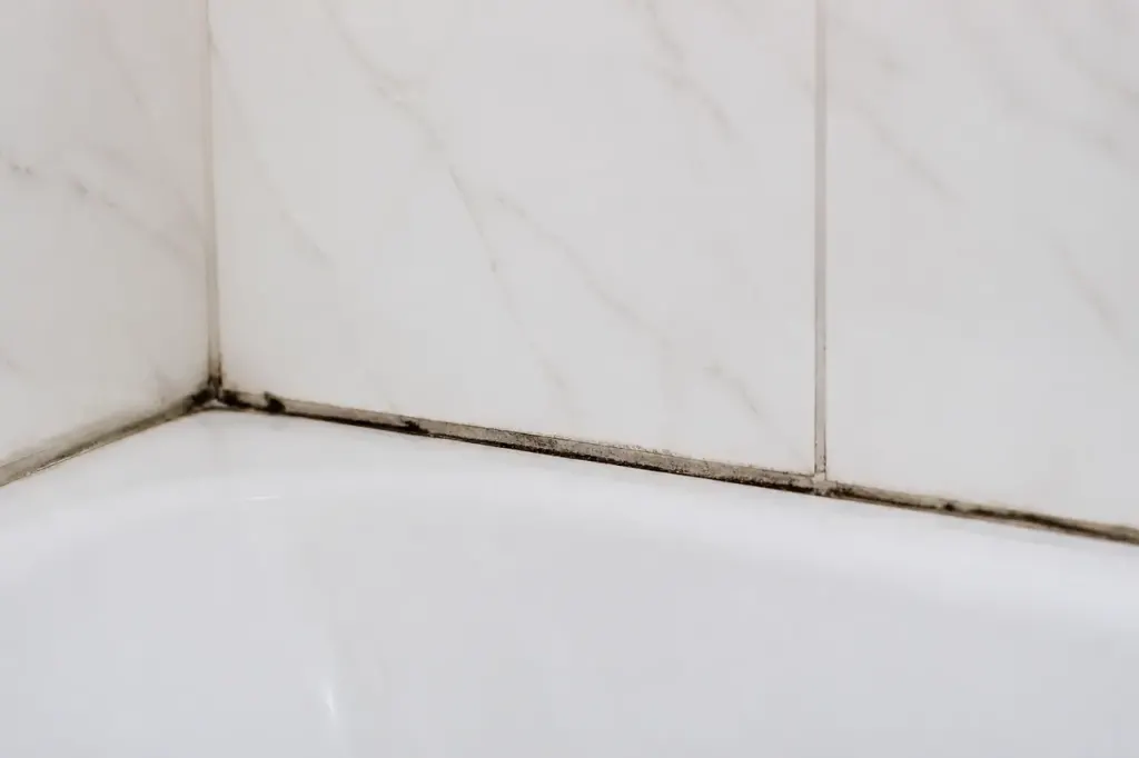 Joint de salle de bain noirci entre carreaux blancs