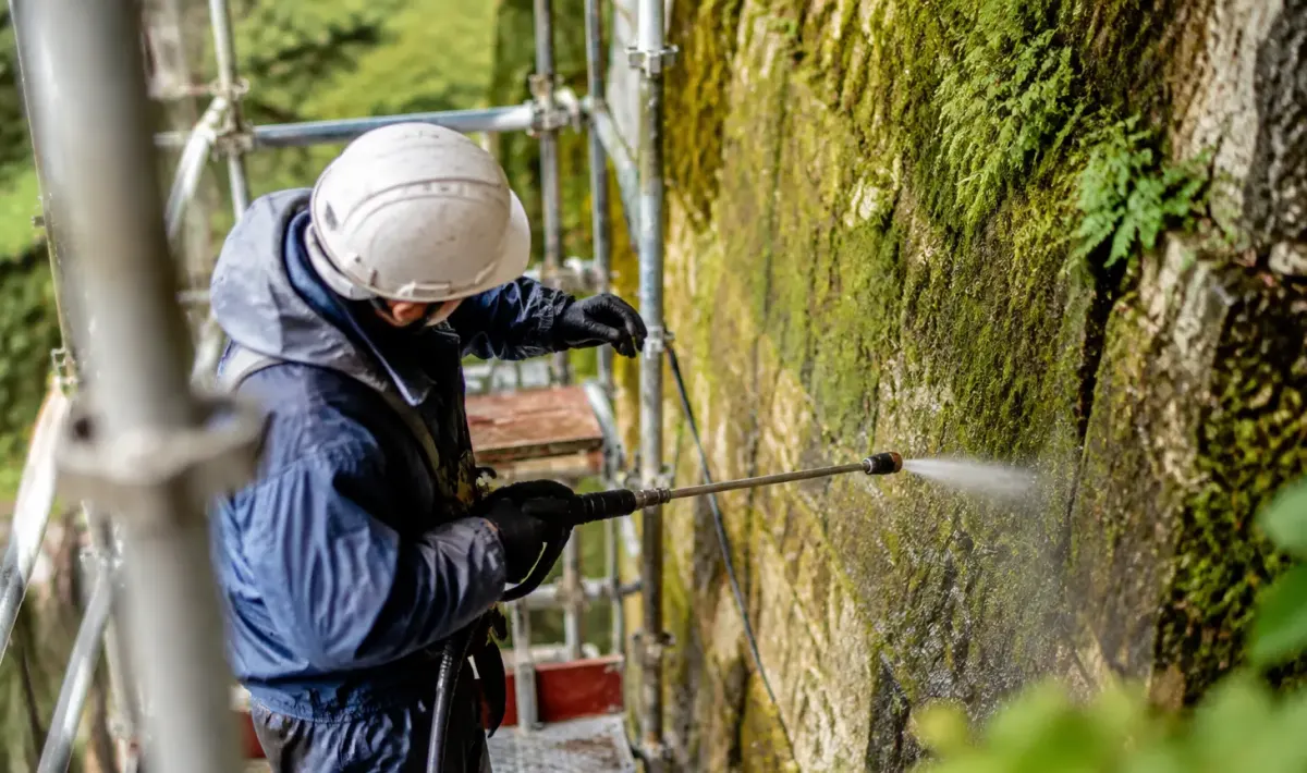 Ouvrier sur echafaudage face a mur couvert de mousse