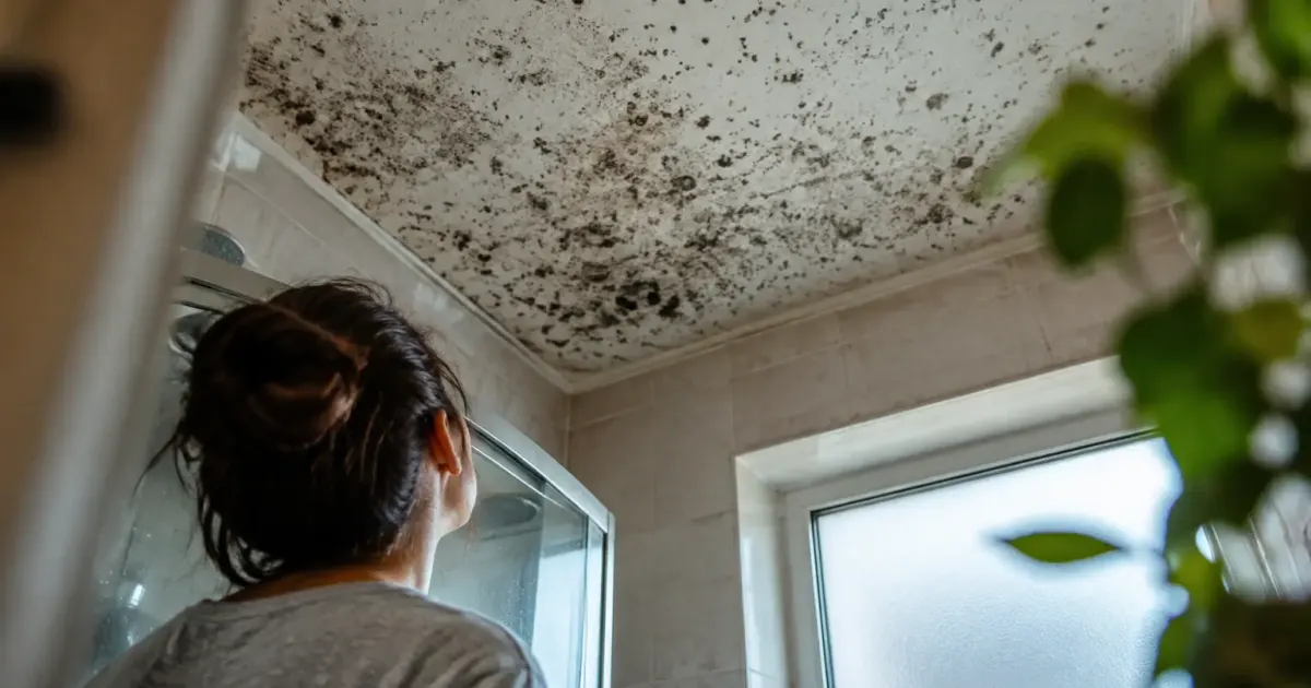 Plafond de salle de bains couvert de taches noires