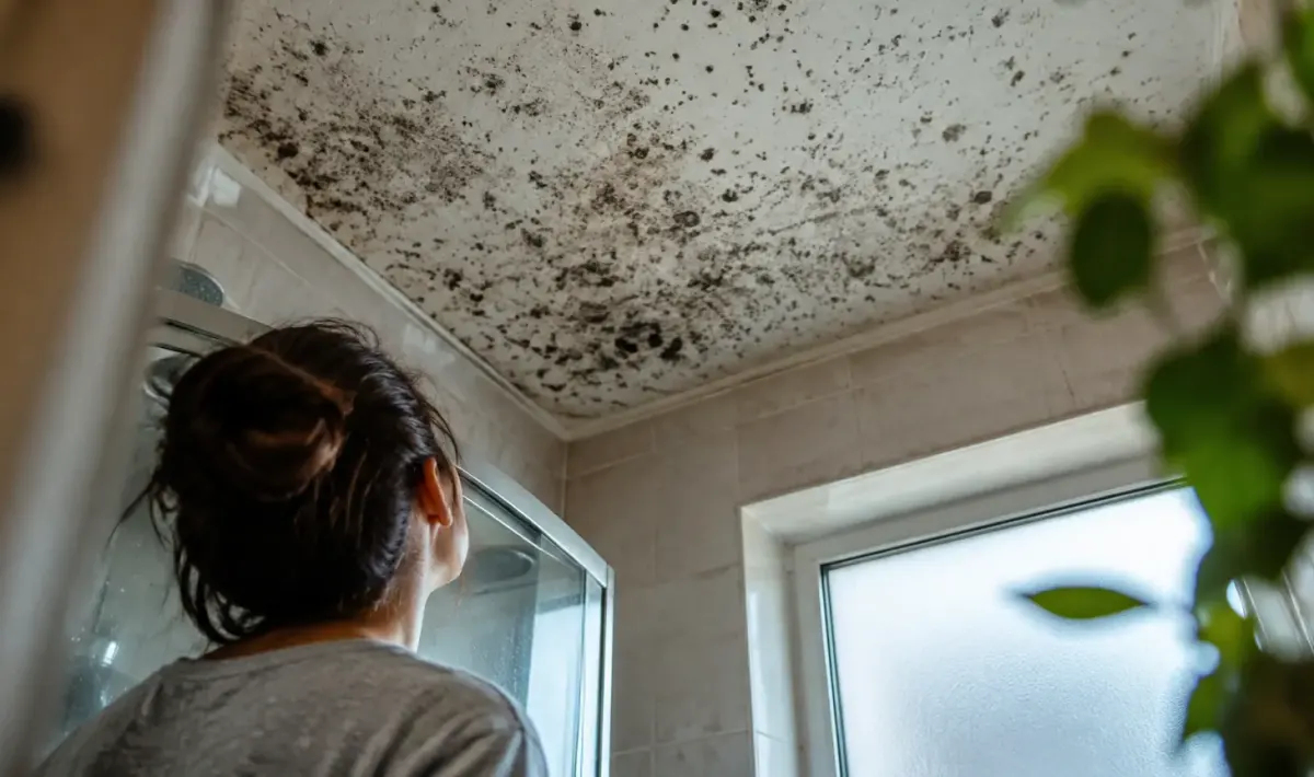 Plafond de salle de bains couvert de taches noires