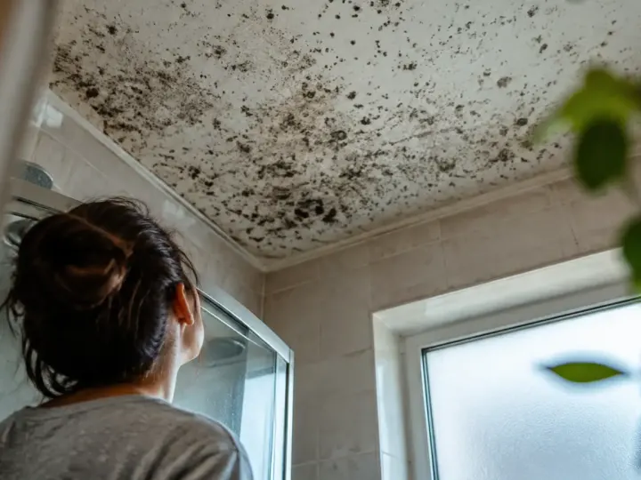 Plafond de salle de bains couvert de taches noires